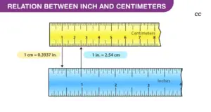 cm to inches Conversion Chart