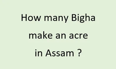 1 Acre Is Equal to How Many Bigha Assam